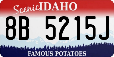 ID license plate 8B5215J