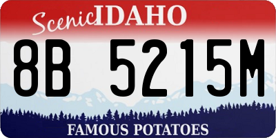 ID license plate 8B5215M