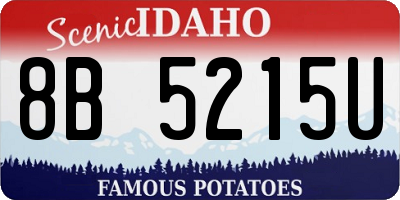 ID license plate 8B5215U