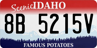 ID license plate 8B5215V