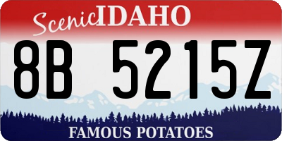 ID license plate 8B5215Z