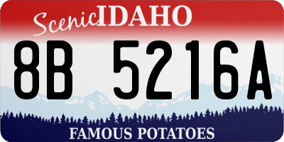 ID license plate 8B5216A
