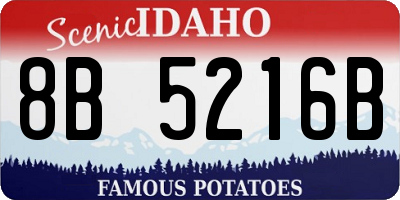 ID license plate 8B5216B