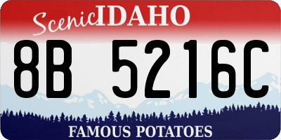 ID license plate 8B5216C