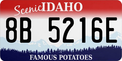 ID license plate 8B5216E