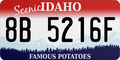 ID license plate 8B5216F