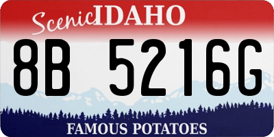 ID license plate 8B5216G