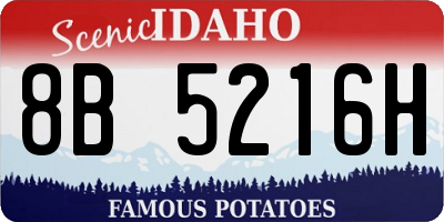 ID license plate 8B5216H