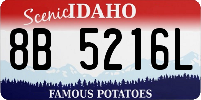 ID license plate 8B5216L
