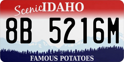 ID license plate 8B5216M