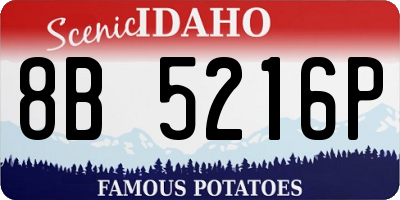 ID license plate 8B5216P