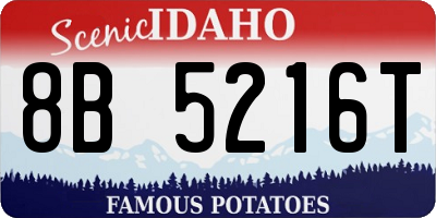 ID license plate 8B5216T