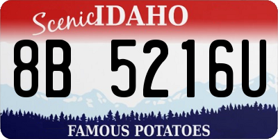 ID license plate 8B5216U