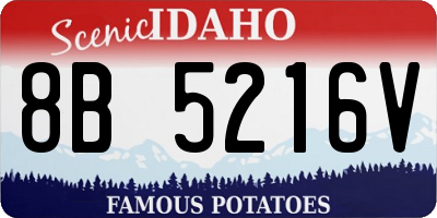 ID license plate 8B5216V