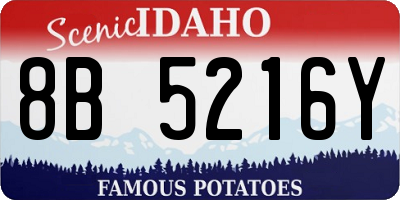 ID license plate 8B5216Y