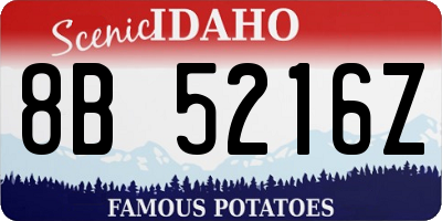 ID license plate 8B5216Z