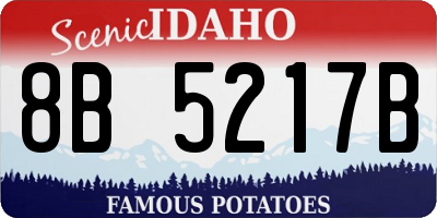 ID license plate 8B5217B