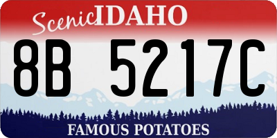ID license plate 8B5217C