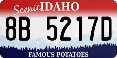 ID license plate 8B5217D