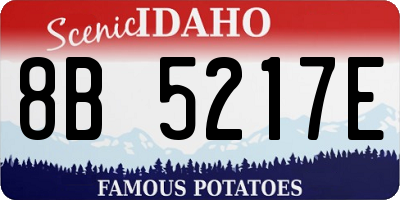 ID license plate 8B5217E