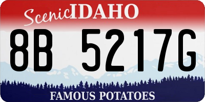 ID license plate 8B5217G