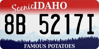 ID license plate 8B5217I