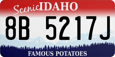 ID license plate 8B5217J