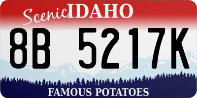 ID license plate 8B5217K