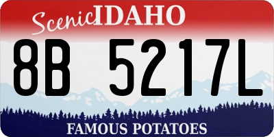 ID license plate 8B5217L