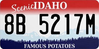 ID license plate 8B5217M