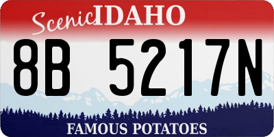 ID license plate 8B5217N