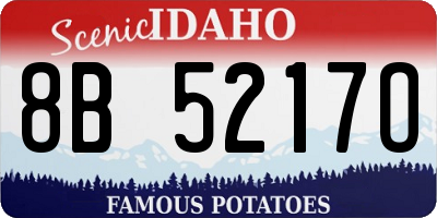 ID license plate 8B5217O