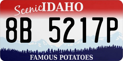 ID license plate 8B5217P