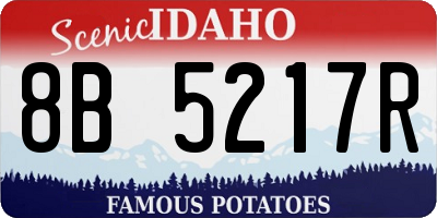 ID license plate 8B5217R