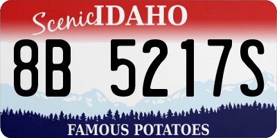 ID license plate 8B5217S