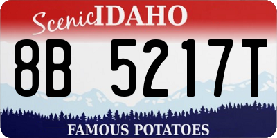 ID license plate 8B5217T