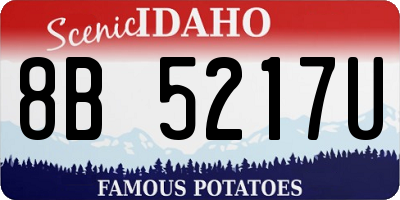 ID license plate 8B5217U