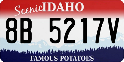 ID license plate 8B5217V
