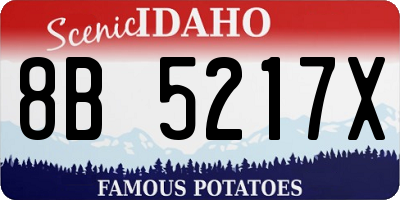 ID license plate 8B5217X