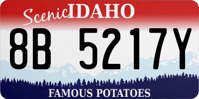 ID license plate 8B5217Y