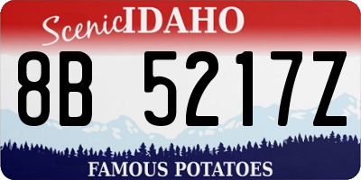 ID license plate 8B5217Z