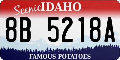 ID license plate 8B5218A
