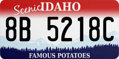 ID license plate 8B5218C