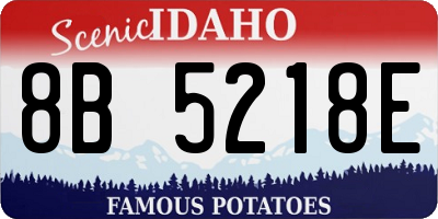 ID license plate 8B5218E