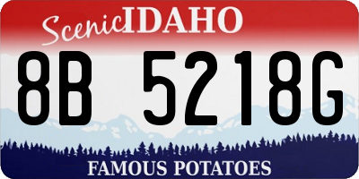 ID license plate 8B5218G