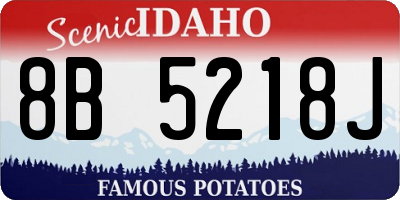 ID license plate 8B5218J