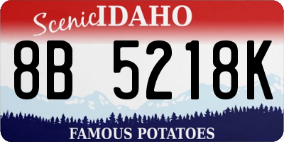 ID license plate 8B5218K