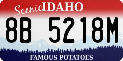 ID license plate 8B5218M