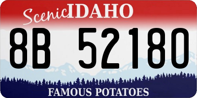 ID license plate 8B5218O