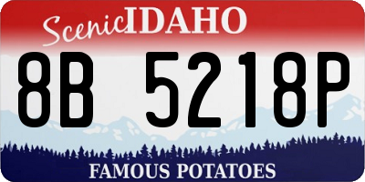ID license plate 8B5218P